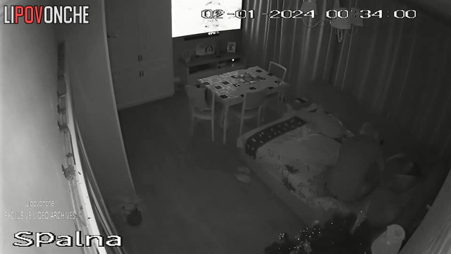 Spy Hidden Cam
