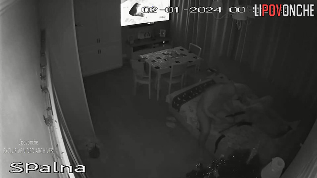  Spy Hidden Cam
