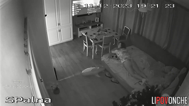 Girl sucked and got fucked doggy style on the couch
