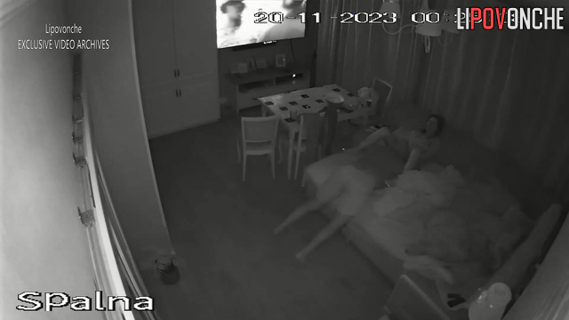  Spy Hidden Cam