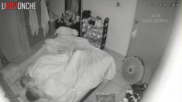 The couple had a good fuck on the bed before going to sleep