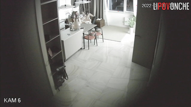  Spy Hidden Cam