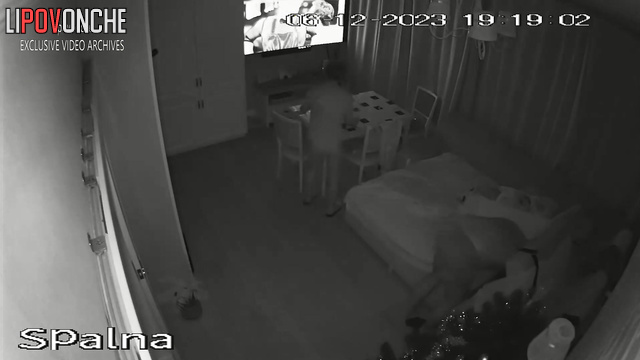  Spy Hidden Cam