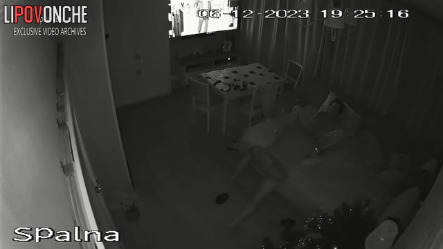 Spy Hidden Cam
