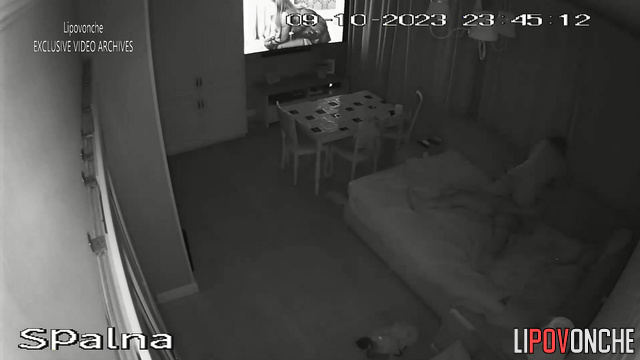  Spy Hidden Cam
