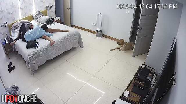 Man is simply delighted with his lover's clit / bedroom