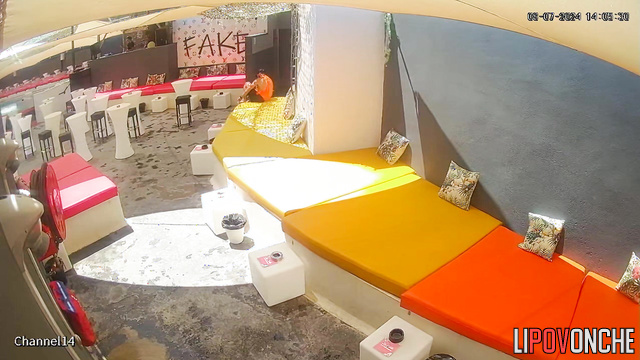 Strange people taking part in adult party (watch)
