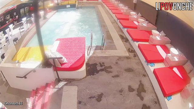 Woman getting cunni right in the pool (dirty adult party)