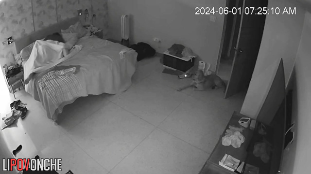 Interesting fuck in the middle of a lazy day (hidden video)