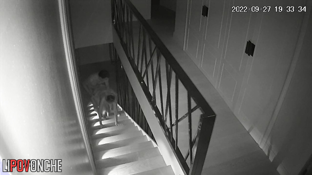 Naked guy fucked her right on the stairs (home porn)