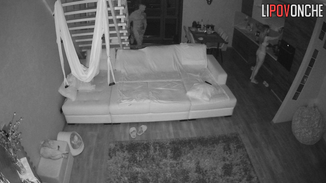 Skinny couple enjoying fast sex in the night living room