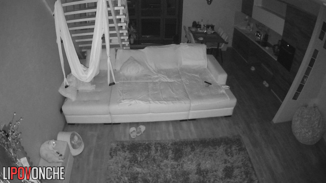 Skinny couple enjoying fast sex in the night living room