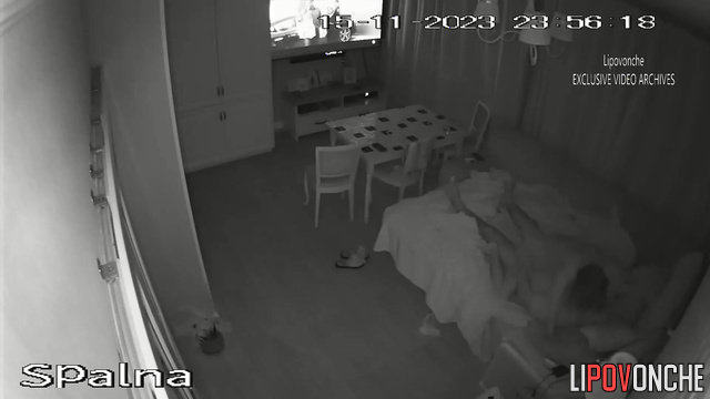  Spy Hidden Cam