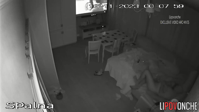  Spy Hidden Cam