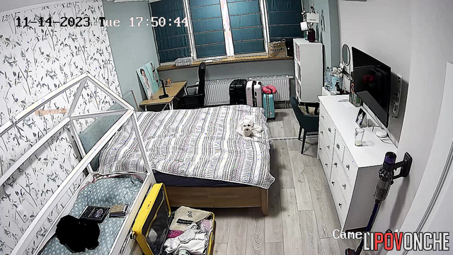 Babe quickly gets dressed for a date because she's late