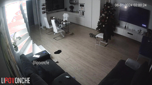 Couple fucked naked in the living room (on Christmas night)