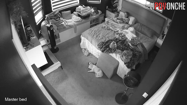  Spy Hidden Cam