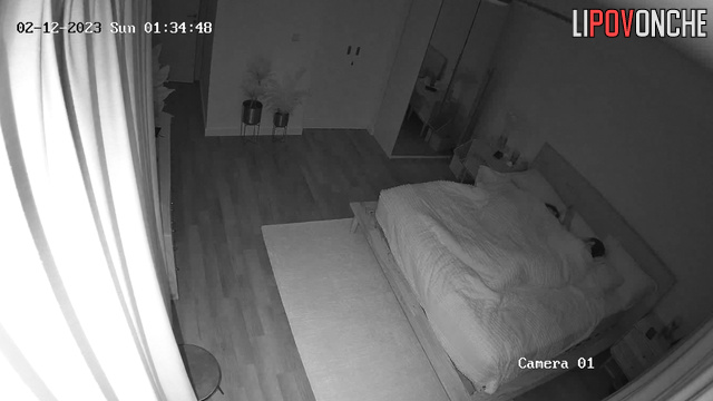  Spy Hidden Cam