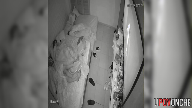 Tender petting in the bed (they are going to fuck)