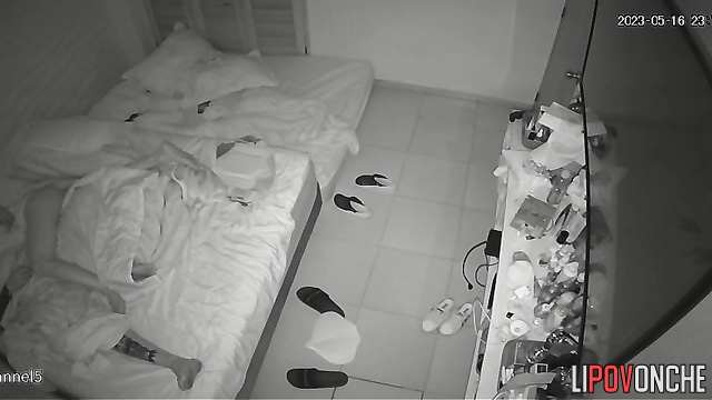 Tender petting in the bed (they are going to fuck)