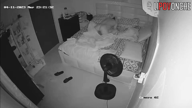  Spy Hidden Cam