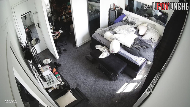 Scenes with chubby babe in bikini, bedroom video