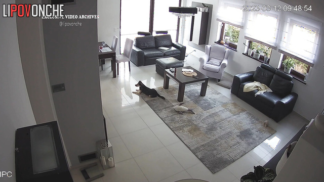  Spy Hidden Cam
