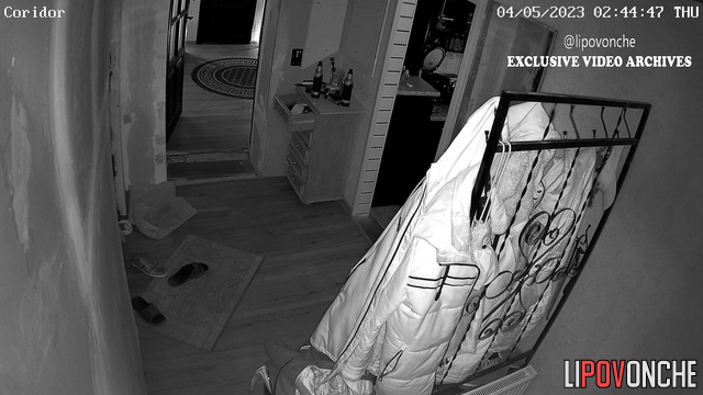  Spy Hidden Cam