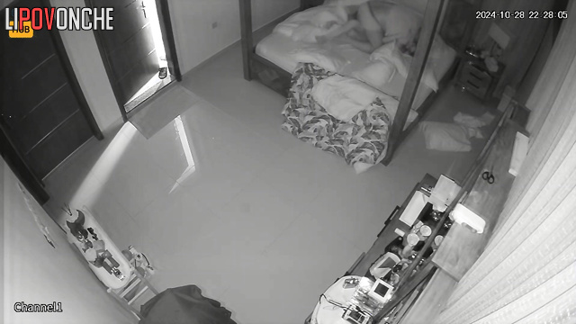  Spy Hidden Cam