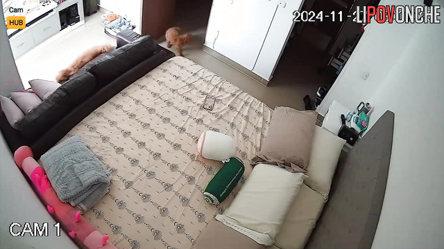 Romantic escape recorded during a night - hidden cam
