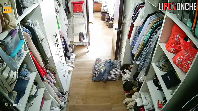  Spy Hidden Cam