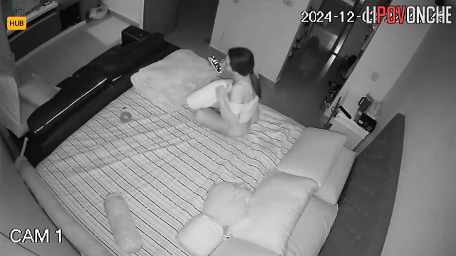  Spy Hidden Cam