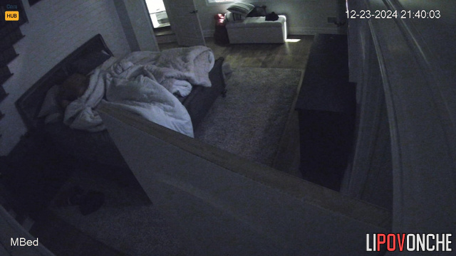 They only left bed to eat (long bedroom sex scenes)