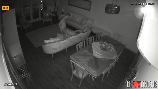 They fucked so hot that they moved the sofa from its place