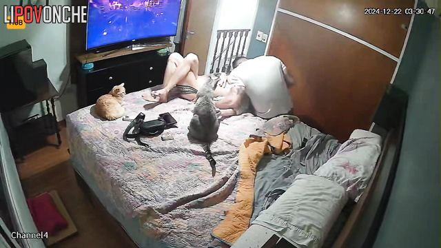Tattooed couple having tender oral sex after a quarrel