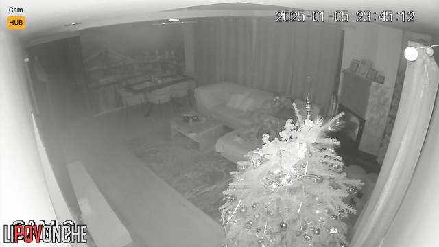  Spy Hidden Cam