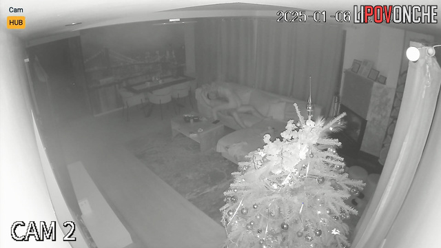  Spy Hidden Cam