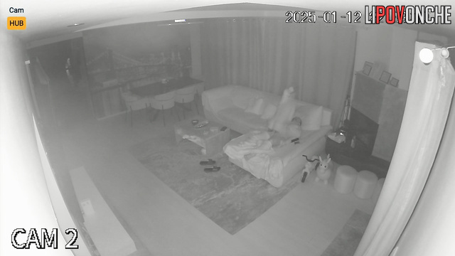 Skinny blonde fucking her new neighbor in the living room