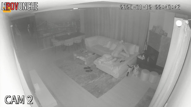  Spy Hidden Cam