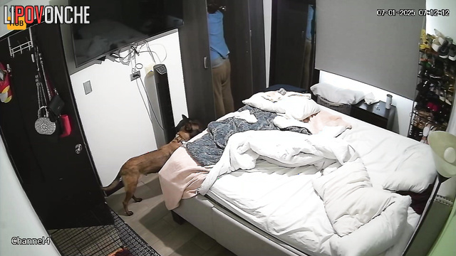 Come to see daily routine of sexy woman with big ass and her chubby boyfriend to get horny