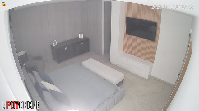 The excited client took off the prostitute's jeans before even entering the bedroom