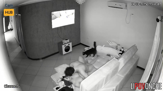  Spy Hidden Cam