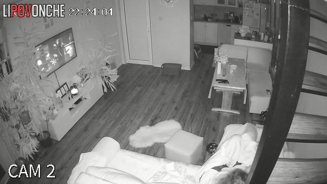 They like to fuck like teenagers - living room cam