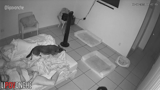 How cool is it to do it at night (bedroom hidden cam)