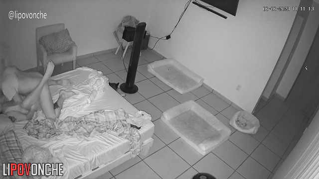 How cool is it to do it at night (bedroom hidden cam)
