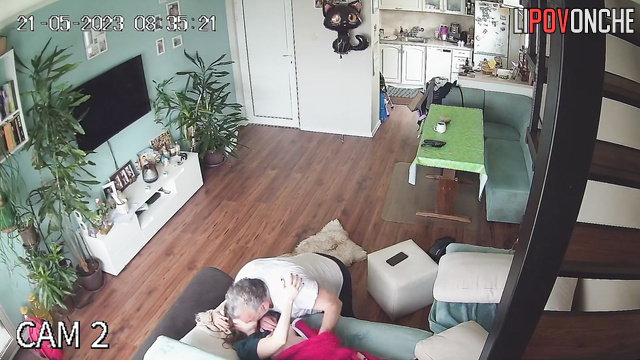  Spy Hidden Cam
