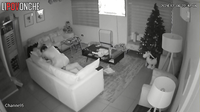  Spy Hidden Cam