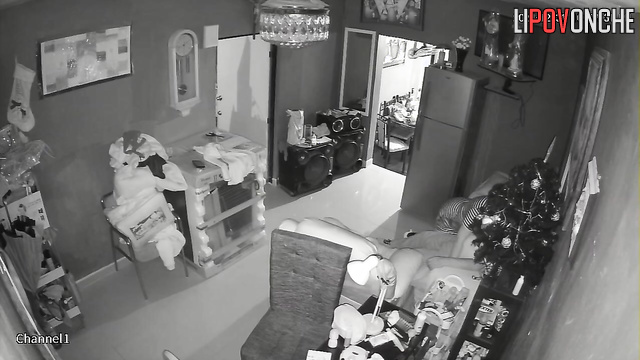 They do this whenever they have a break, living room cam