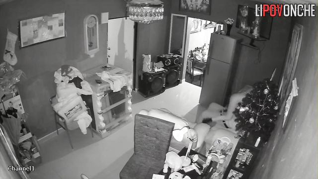  Spy Hidden Cam