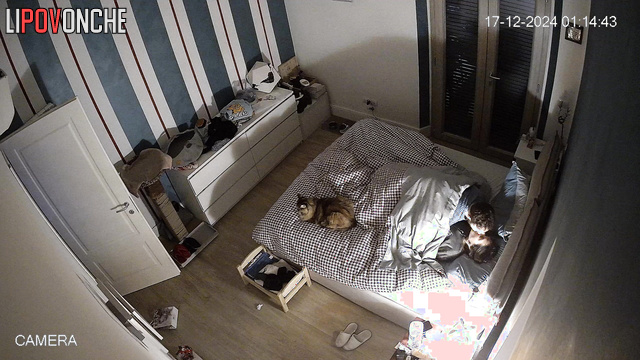 Cozy sex between girlfriend and boyfriend / home video